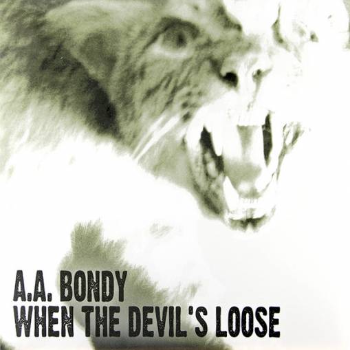 Okładka A.A. Bondy - When The Devil's Loose