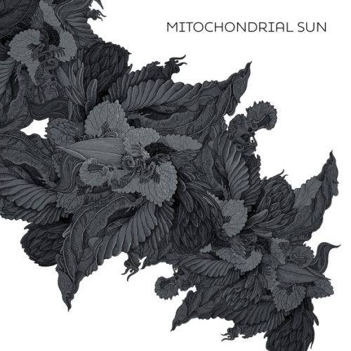 Okładka Mitochondrial Sun - Mitochondrial Sun