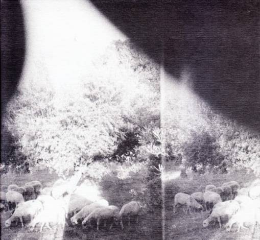 Okładka Godspeed You! Black Emperor - Asunder Sweet And Other Distress