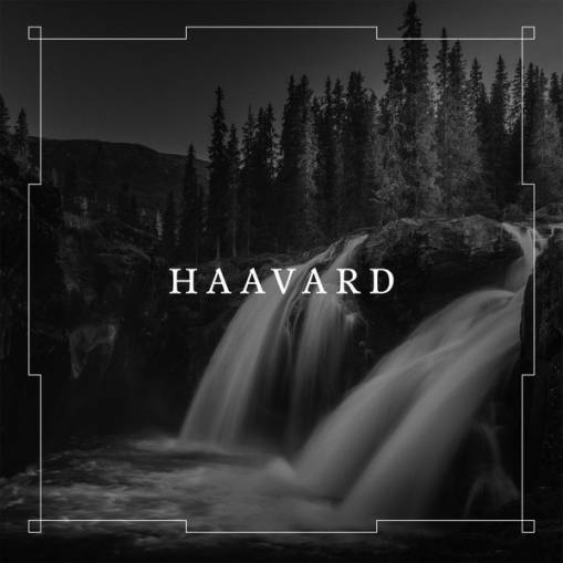 Okładka Haavard - Haavard