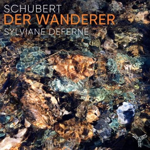 Okładka Schubert - Der Wanderer Deferne