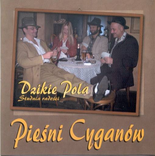 Okładka Dzikie Pola - Studnia Radości (czyt. opis) [NM]