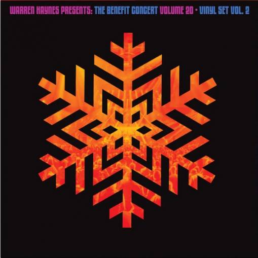 Okładka Haynes, Warren - Warren Haynes Presents The Benefit Concert Volume 20 Vinyl Vol 2 LP ORANGE