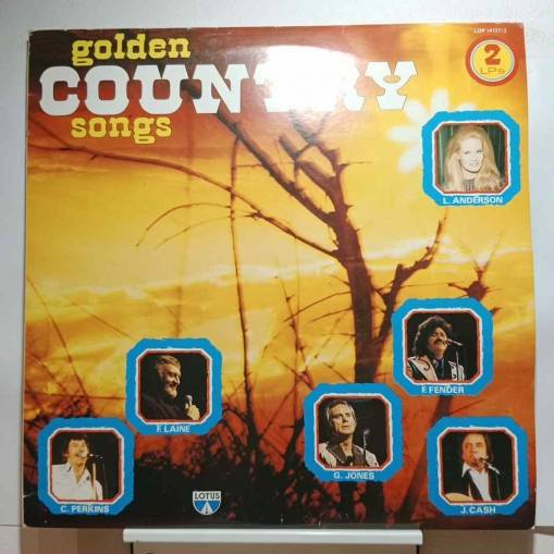 Okładka Various - Golden Country Songs (2LP) [EX]