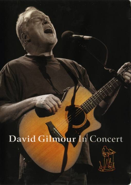 Okładka David Gilmour - David Gilmour In Concert [EX]