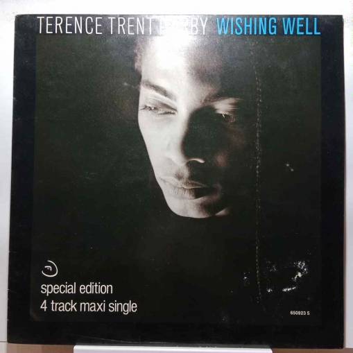 Okładka Terence Trent D'Arby - Wishing Well (Single Vinyl 12") [EX]