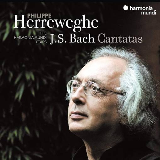 Okładka Bach - Cantatas Collegium Vocale Gent Herreweghe La Chapelle Royale