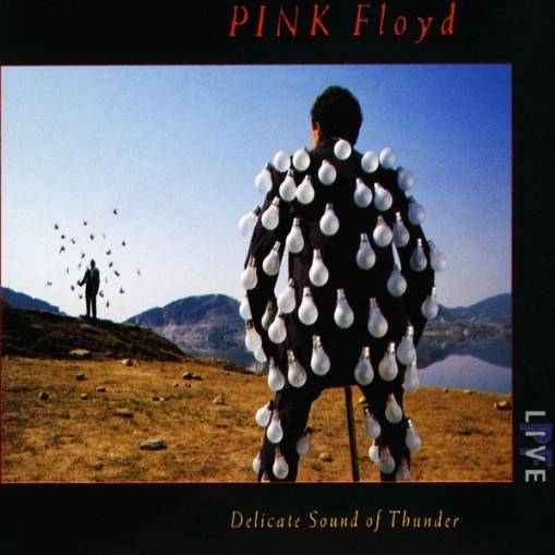 Okładka PINK FLOYD - DELICATE SOUND OF THUNDER