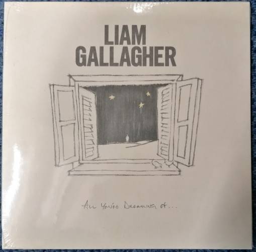 Okładka GALLAGHER, LIAM - ALL YOU'RE DREAMING OF