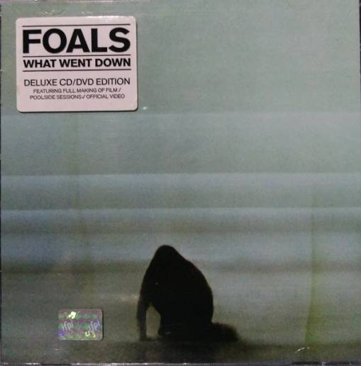 Okładka FOALS - WHAT WENT DOWN (CD+DVD)