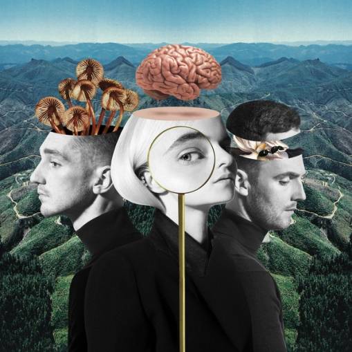 Okładka CLEAN BANDIT - WHAT IS LOVE?