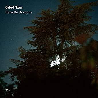 Okładka ODED TZUR - HERE BE DRAGONS (LP)