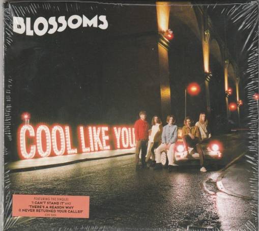 Okładka BLOSSOMS - COOL LIKE YOU