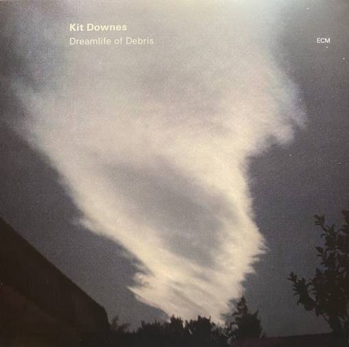 Okładka DOWNES, KIT - DREAMLIFE OF DEBRIS (LP)