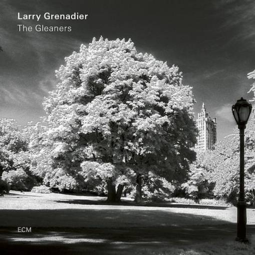 Okładka GRENADIER, LARRY - THE GLEANERS (LP)