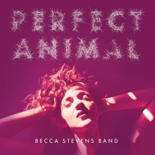 Okładka STEVENS, BECCA - PERFECT ANIMAL