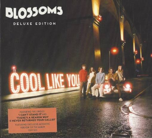 Okładka BLOSSOMS - COOL LIKE YOU (DELUXE)