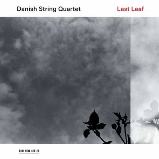 Okładka DANISH STRING QUARTET - LAST LEAF (LP)