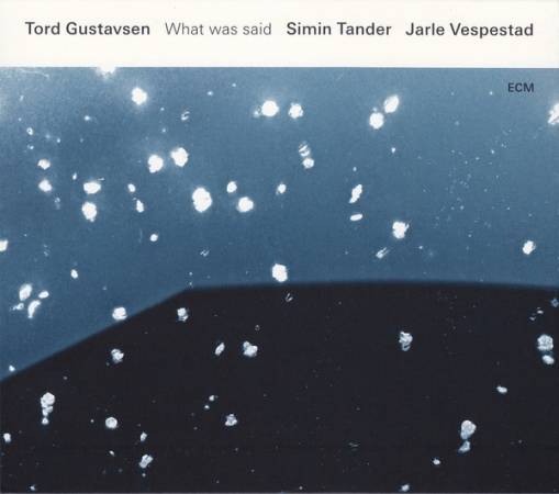 Okładka GUSTAVSEN, TORD - WHAT WAS SAID