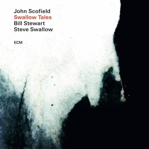 Okładka SCOFIELD, JOHN - SWALLOW TALES (LP)