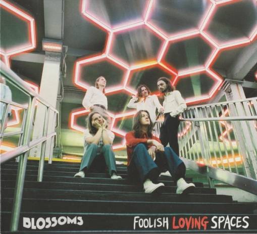 Okładka BLOSSOMS - FOOLISH LOVING SPACES