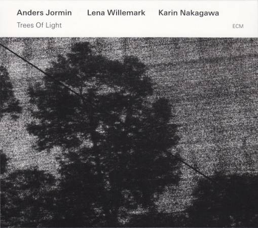 Okładka JORMIN, ANDERS - TREES OF LIGHT