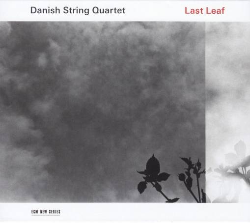 Okładka DANISH STRING QUARTET - LAST LEAF