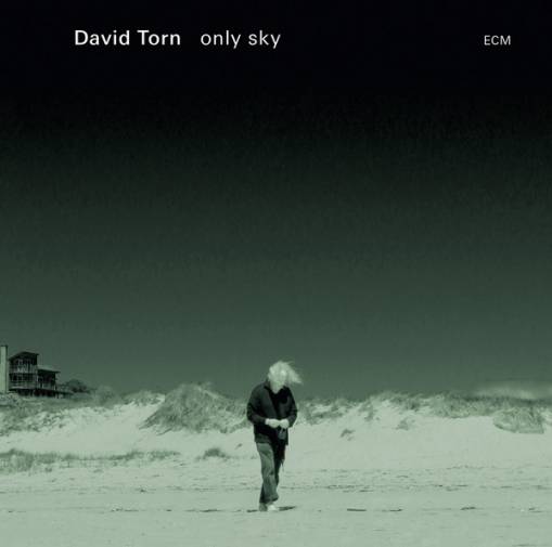 Okładka TORN, DAVID - ONLY SKY