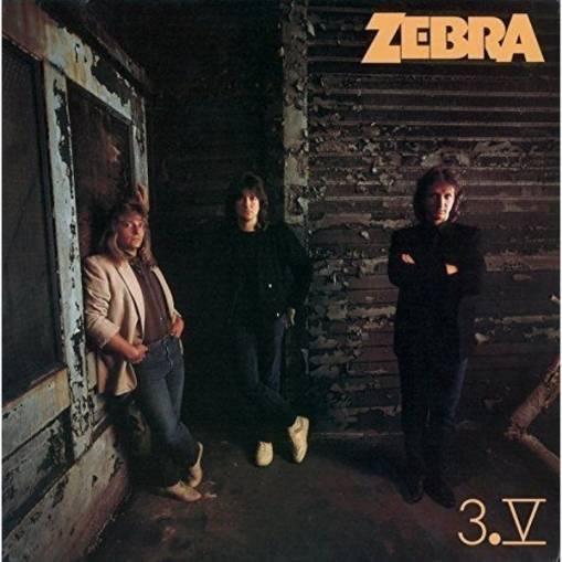 Okładka Zebra - 3.V