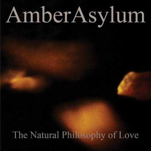 Okładka Amber Asylum - The Natural Philosophy Of Love