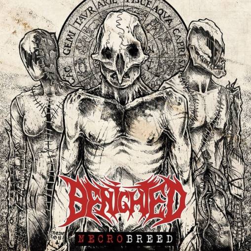 Okładka Benighted - Necrobreed