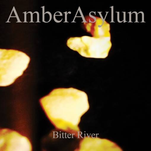 Okładka Amber Asylum - Bitter River