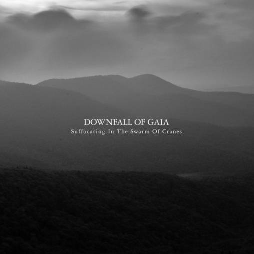 Okładka Downfall Of Gaia - Suffocating In The Swarm Of Cranes