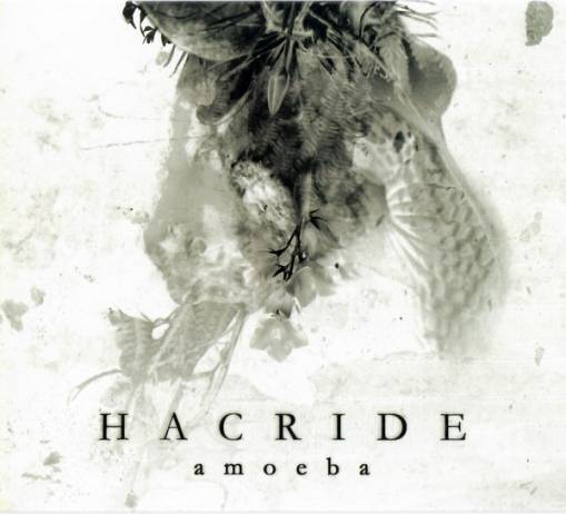 Okładka Hacride - Amoeba