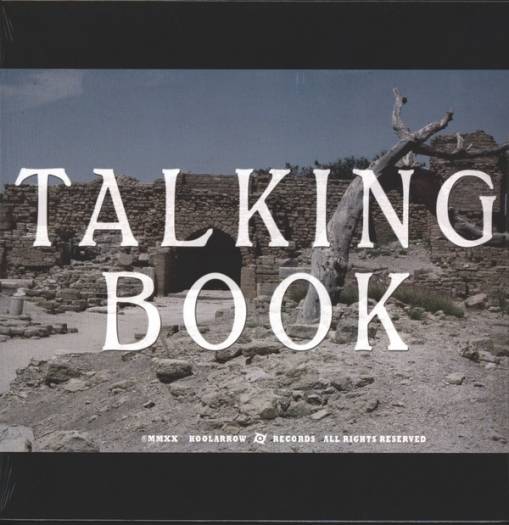 Okładka Talking Book - Talking Book II LP