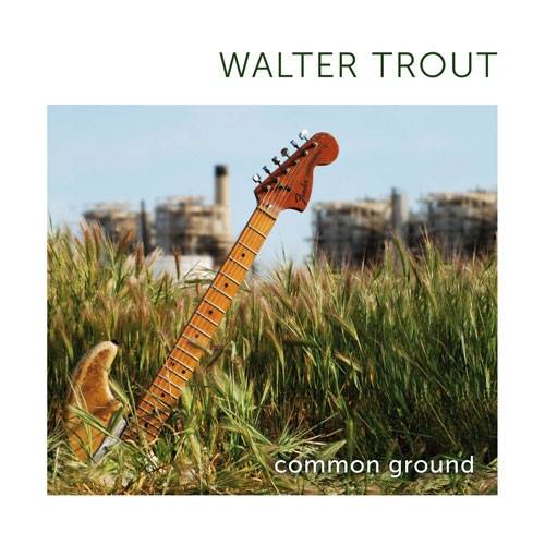 Okładka Trout, Walter - Common Ground