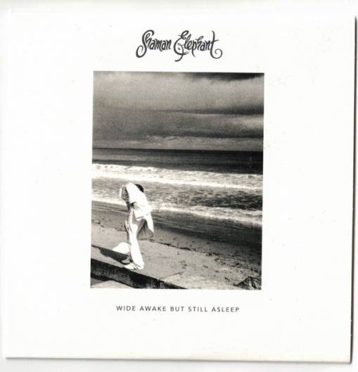 Okładka Shaman Elephant - Wide Awake But Still Asleep