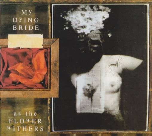 Okładka My Dying Bride - As The Flower Withers