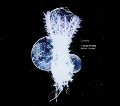 Okładka Upland - Monochrome Adventures