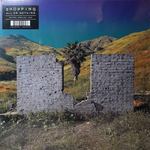 Okładka Shopping - All Or Nothing LP