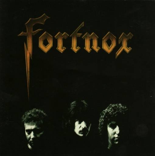 Okładka Fortnox - Fortnox