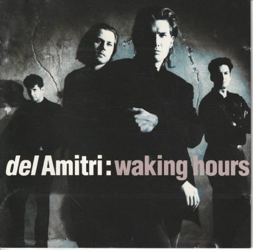 Okładka Del Amitri - Waking Hours [EX]