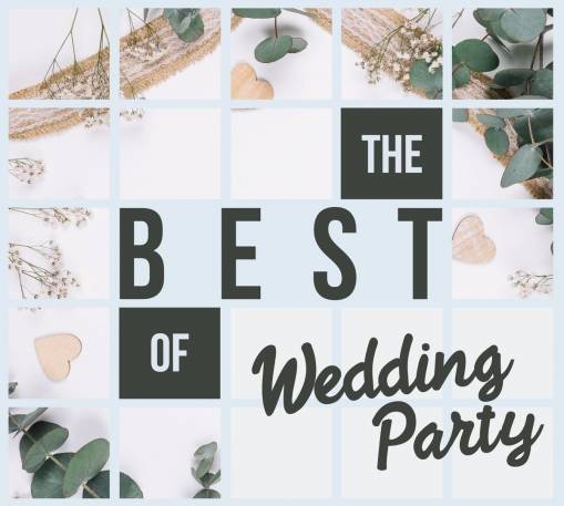 Okładka Various - The Best Of Weeding Party [VG]