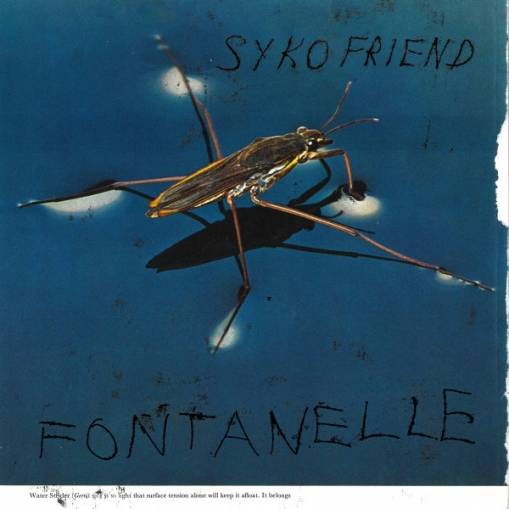 Okładka Syko Friend - Fontanelle LP