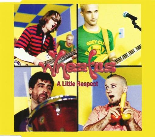 Okładka Wheatus - A Little Respect [NM]