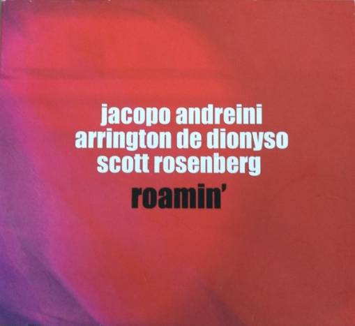Okładka Jacopo Andreini - Roamin