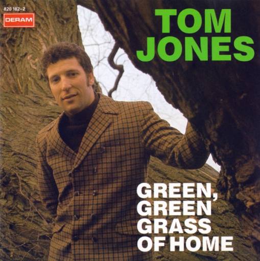 Okładka Tom Jones - Green, Green Grass Of Home [EX]