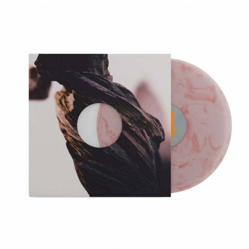 Okładka PIXIES - THE NIGHT THE ZOMBIES CAME (LP) (INDIE)