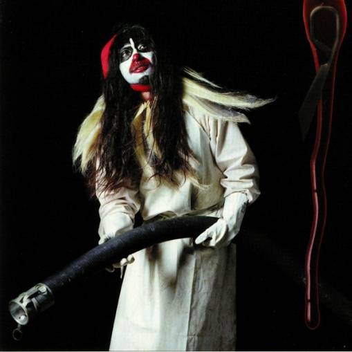 Okładka BJORK - DRAWING RESTRAINT 9 (LP)