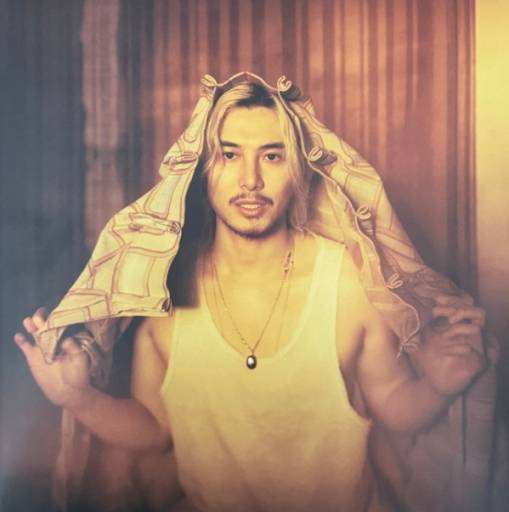 Okładka FUJII KAZE - PREMA LP